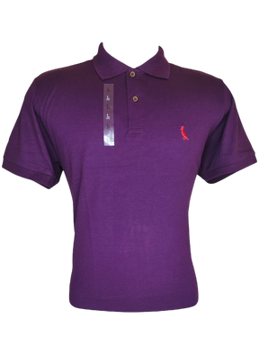 Camiseta Polo Piquet